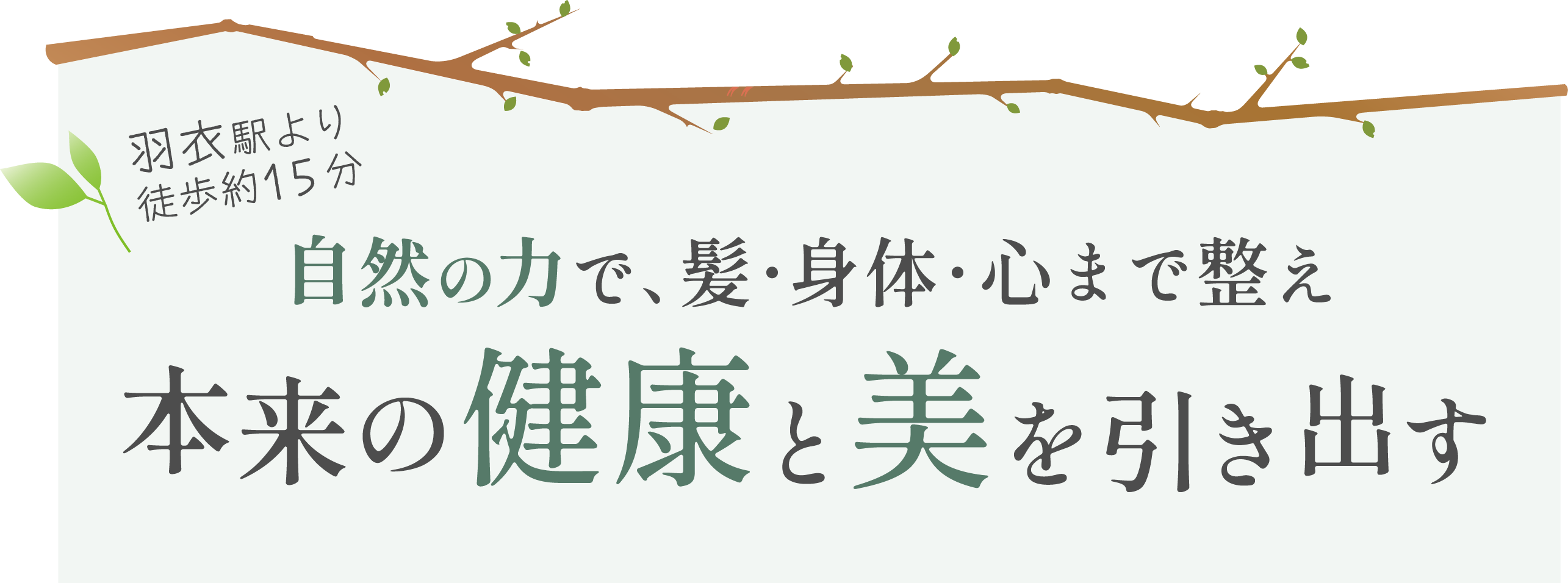 キャッチコピー画像