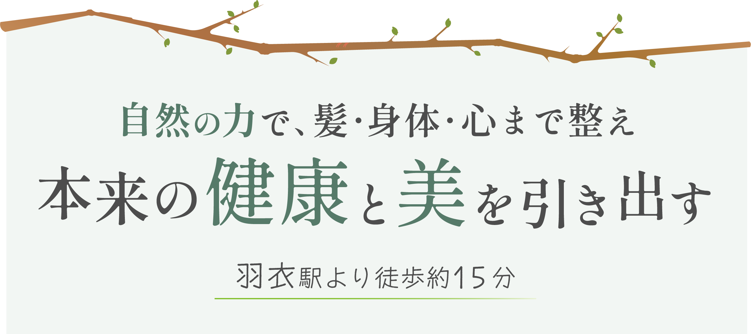 キャッチコピー画像